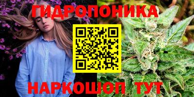 стаф Изобильный