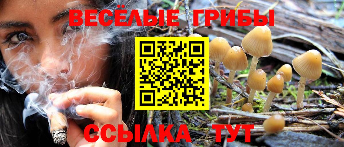 Псилоцибиновые грибы мицелий  Псилоцибиновые грибы Magic Shrooms  Вход с VPN  Мценск 