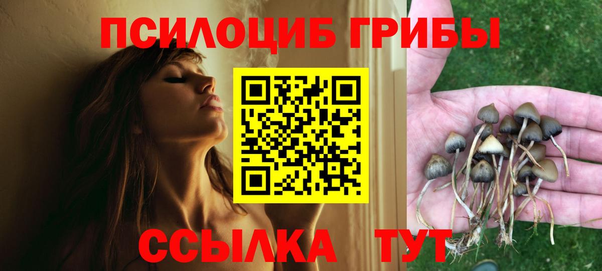 Псилоцибиновые грибы мухоморы Мценск